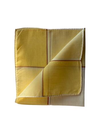 Les pochettes de costume &raquo; Les couleurs &raquo; Pochette en coton